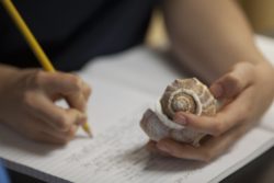 Writing notes about a shell